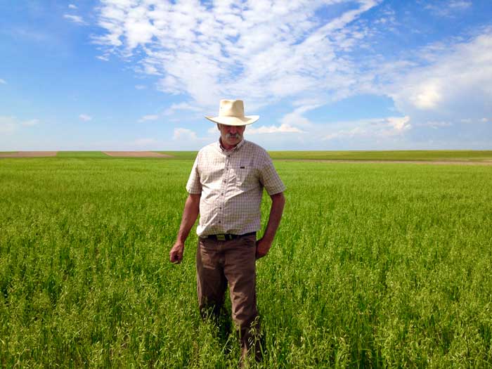 farmer in oat field